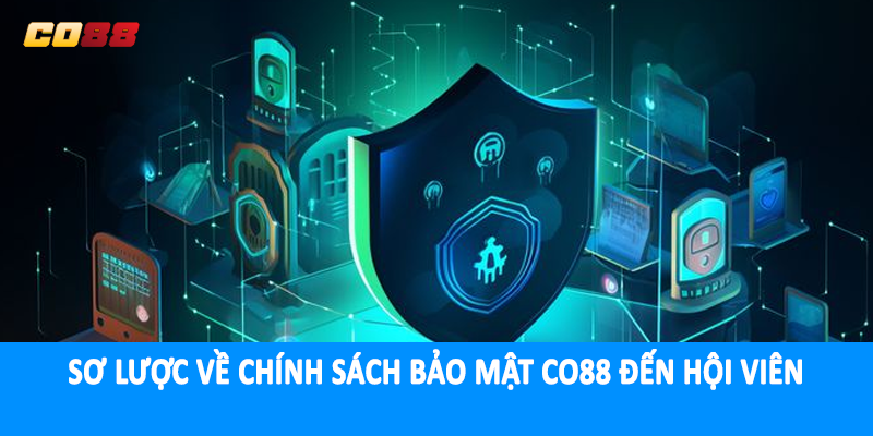 Sơ lược về chính sách bảo mật CO88 đến hội viên