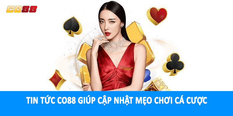 Tin tức CO88 giúp cập nhật mẹo chơi cá cược