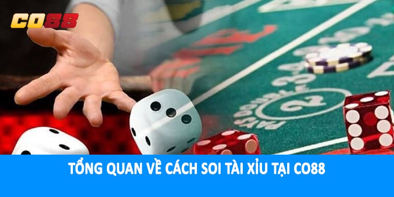 Tổng quan về cách soi tài xỉu tại CO88